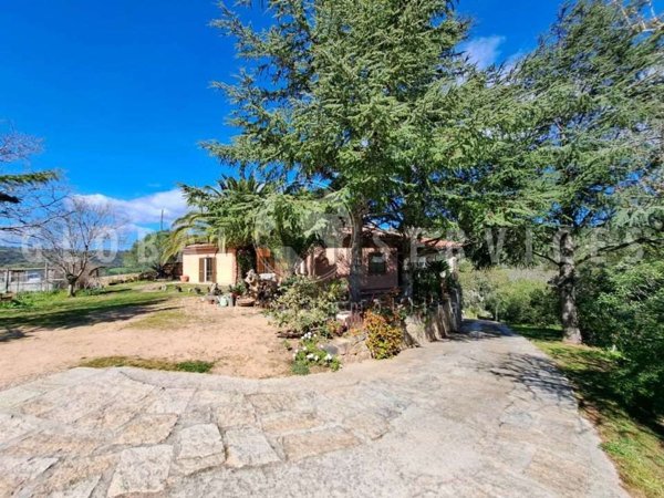 casa indipendente in vendita a Sant'Antonio di Gallura