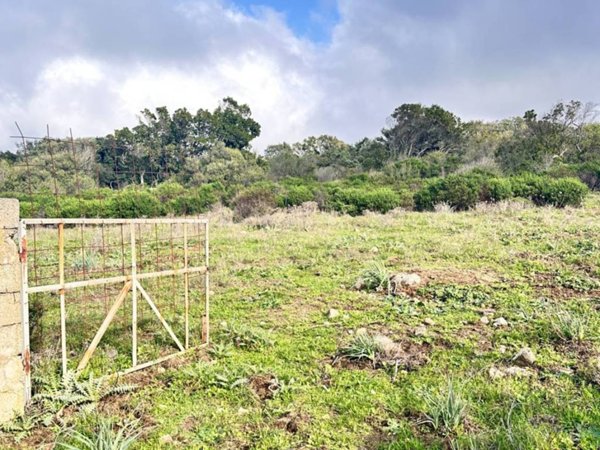 terreno agricolo in vendita a Sant'Antonio di Gallura
