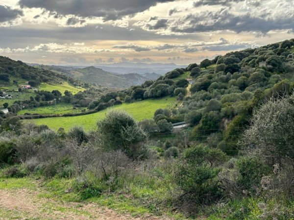 negozio in vendita a Sant'Antonio di Gallura