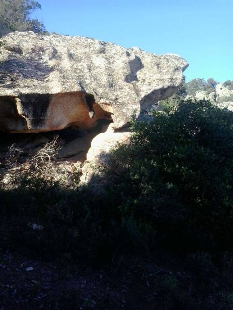 terreno agricolo in vendita a Sant'Antonio di Gallura