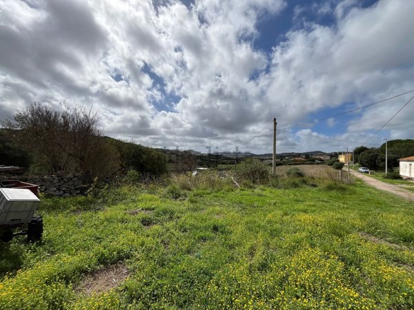 appartamento in vendita a Tergu