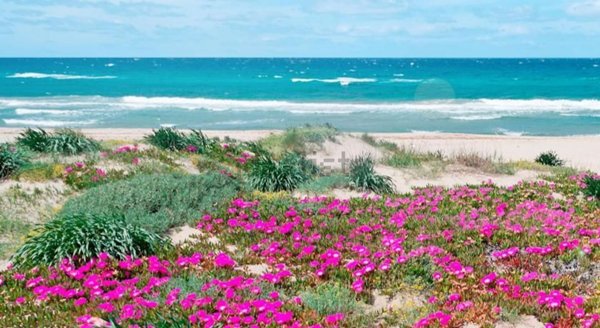 appartamento in vendita a Santa Maria Coghinas