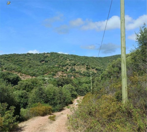 appartamento in vendita a Santa Maria Coghinas