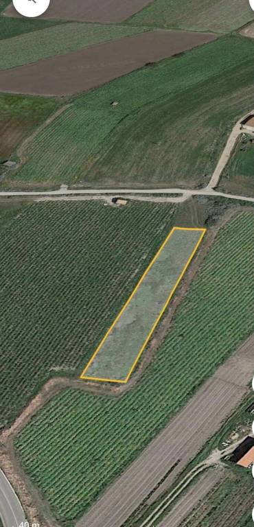 terreno agricolo in vendita a Santa Maria Coghinas