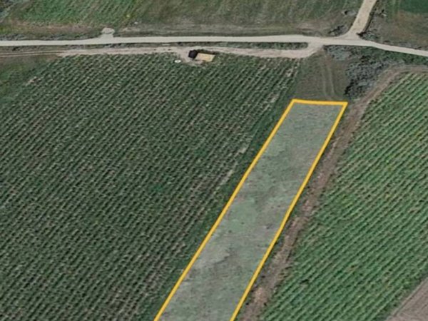 terreno agricolo in vendita a Santa Maria Coghinas