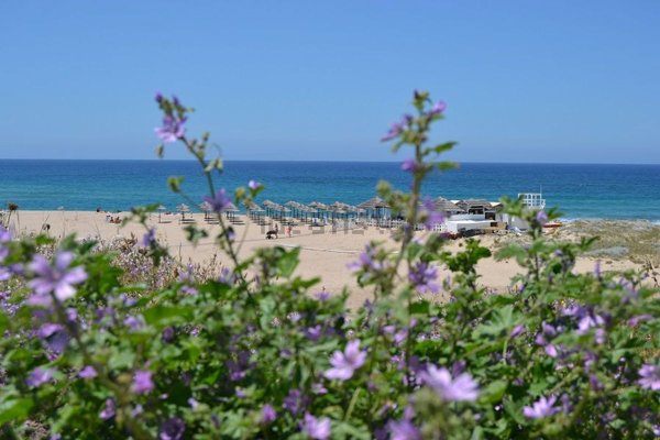 appartamento in vendita a Santa Maria Coghinas