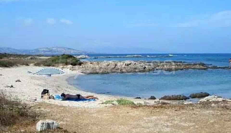 terreno agricolo in vendita a Stintino
