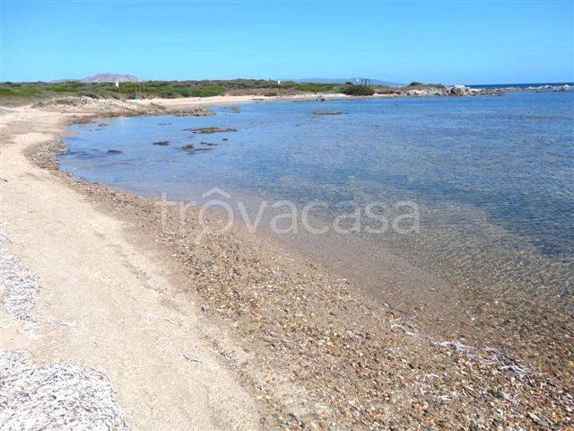 terreno agricolo in vendita a Stintino