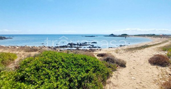 terreno agricolo in vendita a Stintino