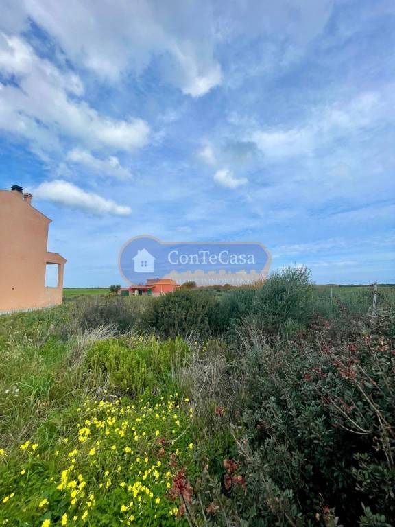 terreno agricolo in vendita a Stintino in zona Pozzo San Nicola