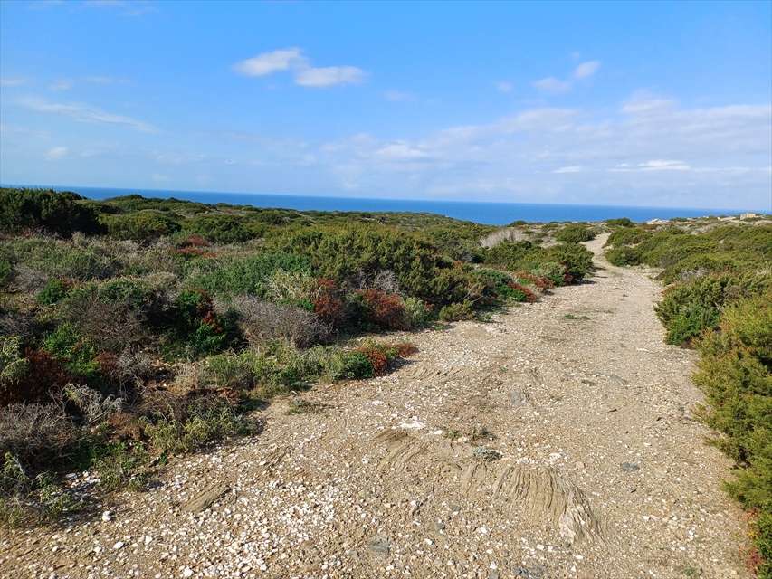 terreno in vendita a Stintino