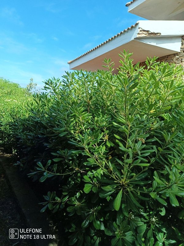 appartamento in vendita a Stintino