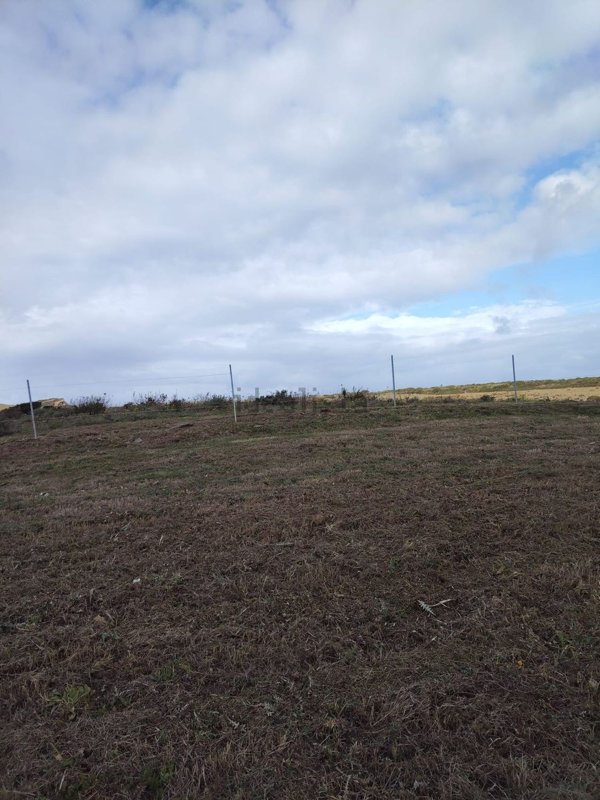 terreno agricolo in vendita a Stintino