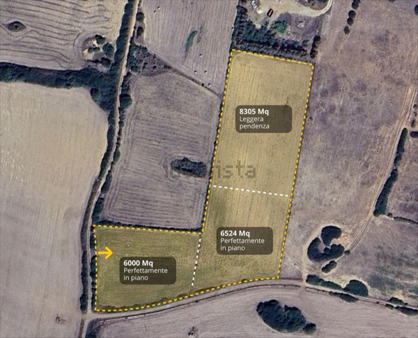terreno agricolo in vendita a Stintino in zona Pozzo San Nicola