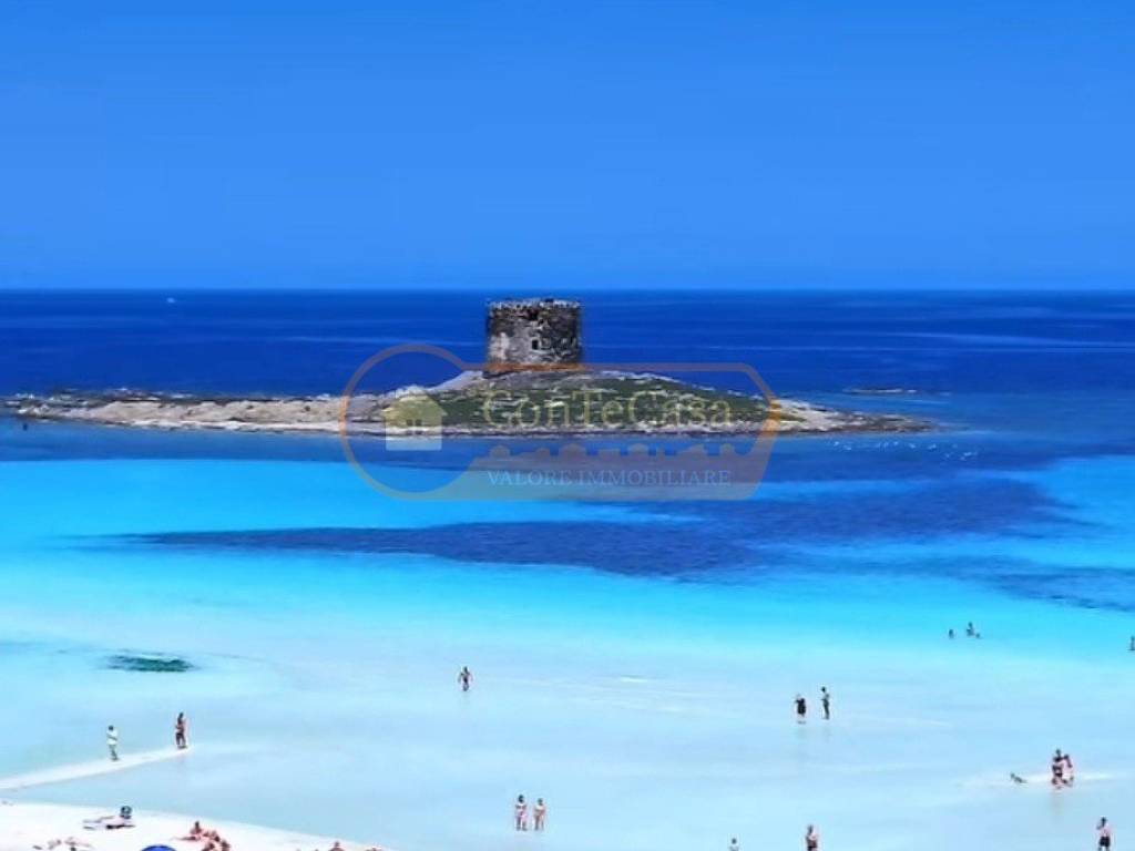 casa indipendente in vendita a Stintino