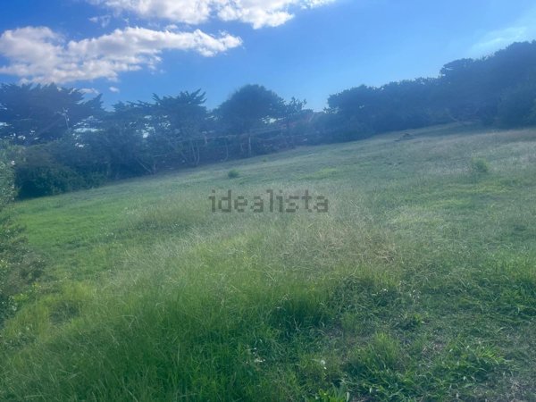 casa indipendente in vendita a Stintino