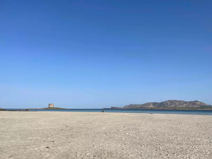 casa indipendente in vendita a Stintino