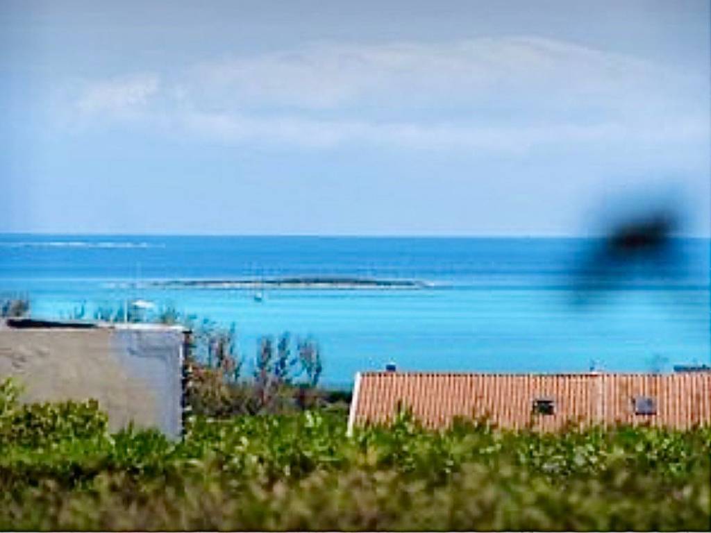 casa indipendente in vendita a Stintino in zona Rocca Ruja