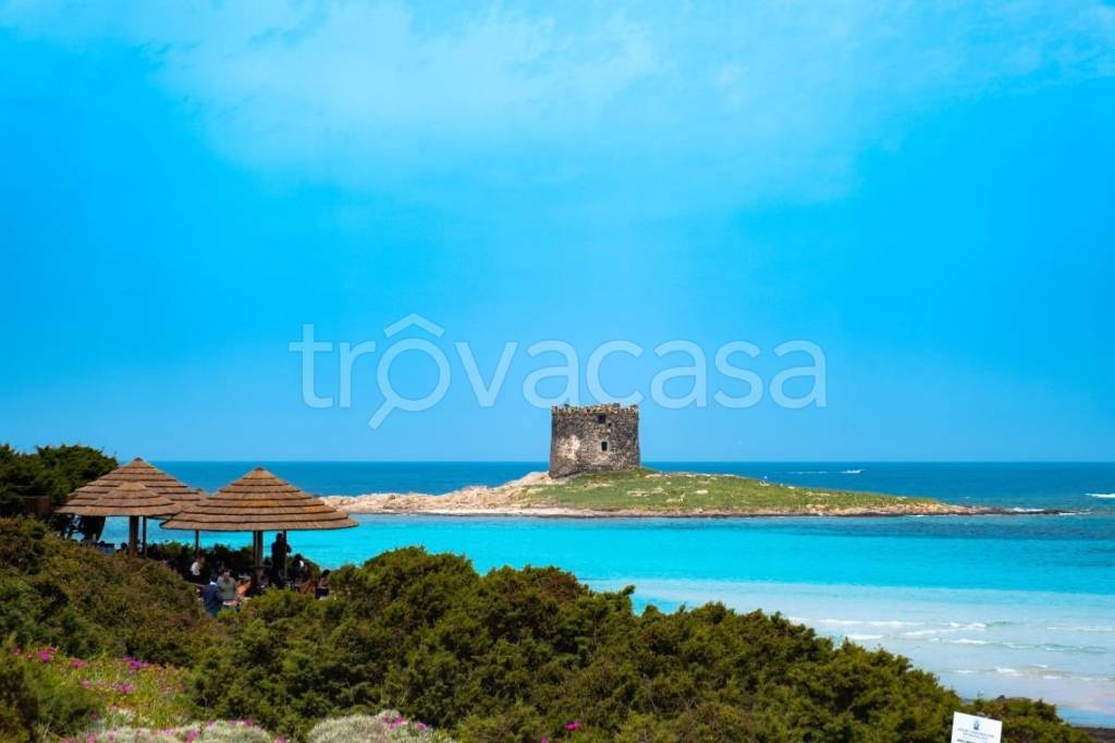 casa indipendente in vendita a Stintino