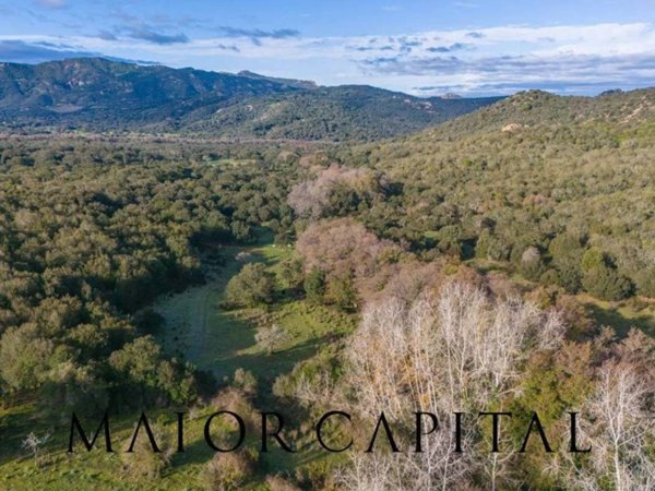 terreno agricolo in vendita a Padru