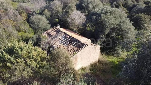 appartamento in vendita a Padru