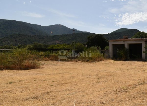 casa indipendente in vendita a Padru