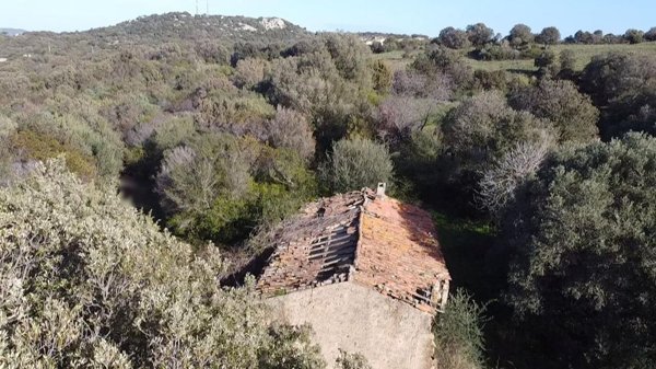 appartamento in vendita a Padru