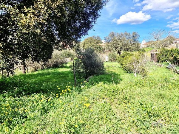 terreno agricolo in vendita a Padru