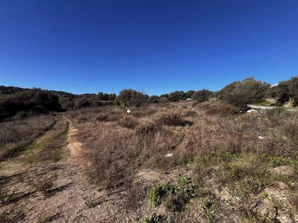 terreno agricolo in vendita a Budoni in zona San Lorenzo