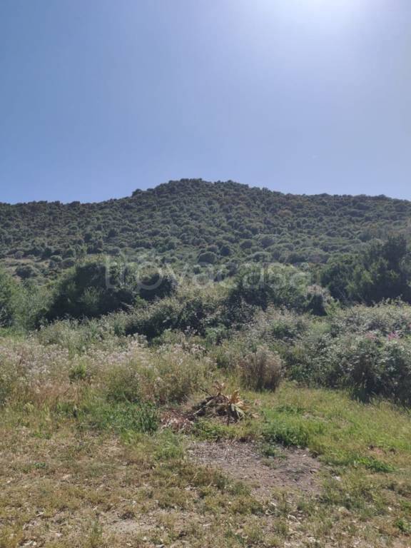 terreno agricolo in vendita a Budoni in zona Baia Sant 'Anna
