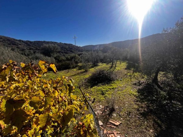 terreno agricolo in vendita a Budoni in zona San Lorenzo