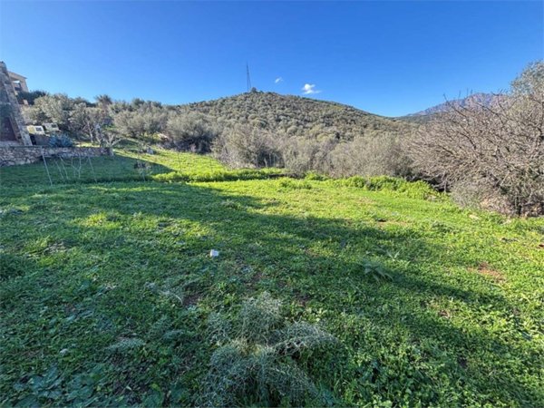 casa indipendente in vendita a Budoni in zona Maiorca / Li Troni