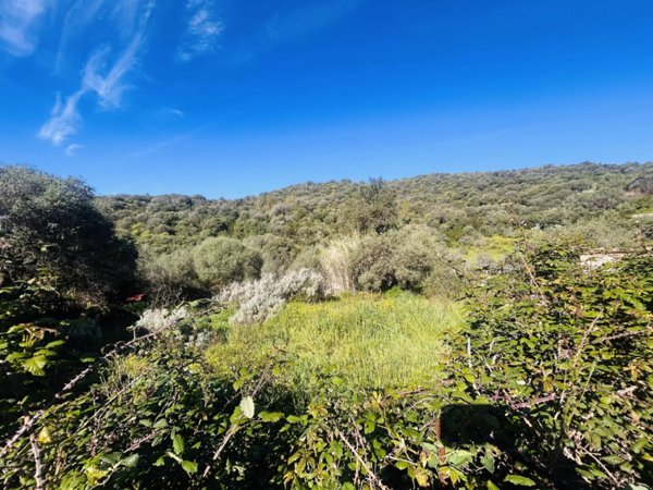 casa indipendente in vendita a Budoni in zona Agrustos