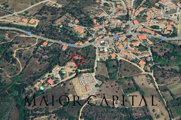 terreno agricolo in vendita a Budoni in zona San Lorenzo