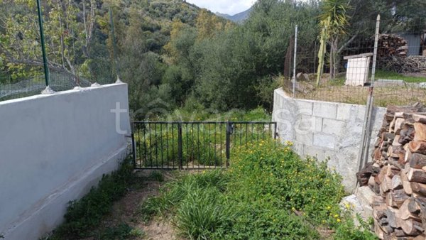 terreno agricolo in vendita a Budoni in zona Berruiles