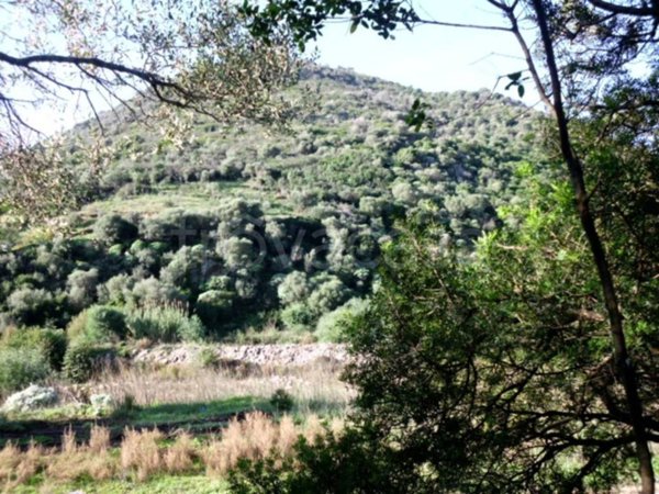 terreno agricolo in vendita a Budoni in zona Berruiles