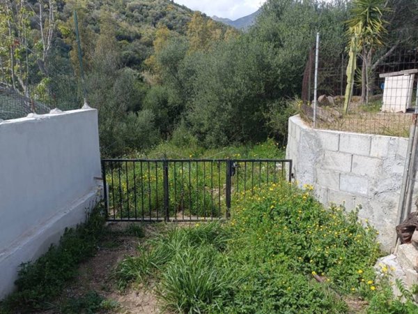terreno agricolo in vendita a Budoni in zona Berruiles