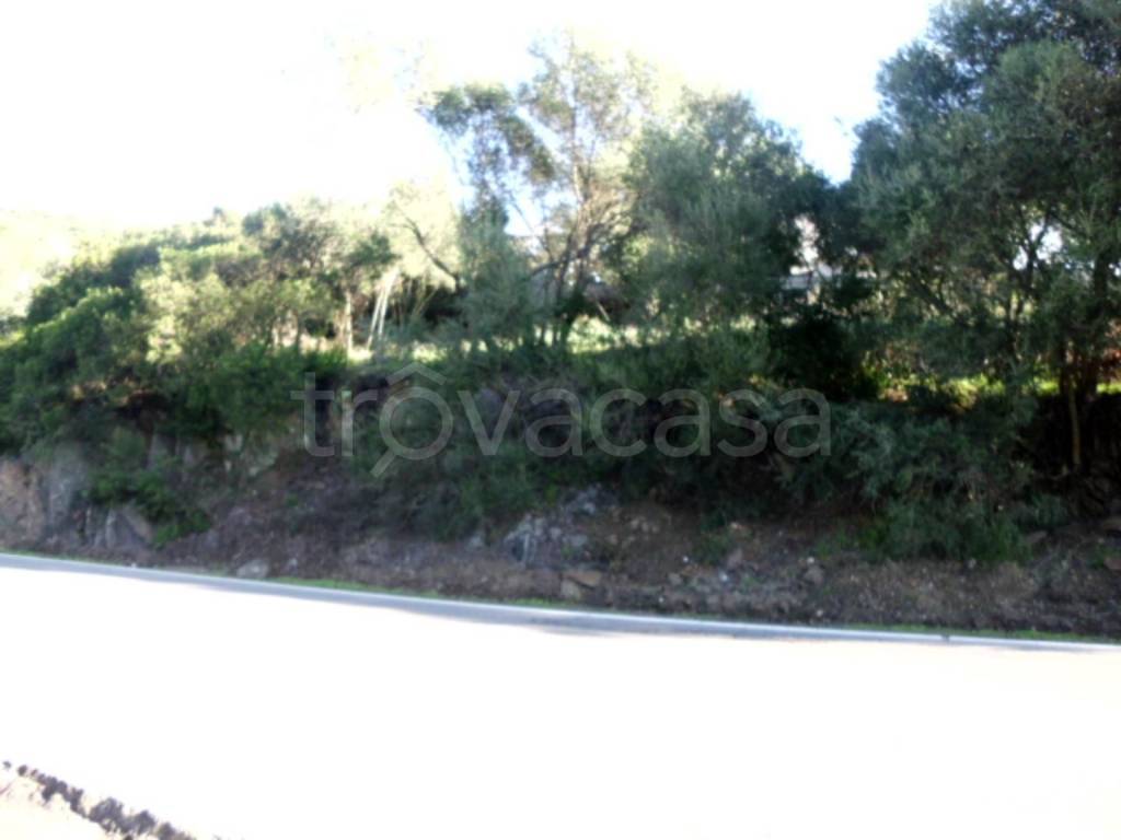 terreno agricolo in vendita a Budoni in zona Berruiles