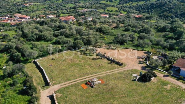 terreno agricolo in vendita a Budoni in zona San Lorenzo