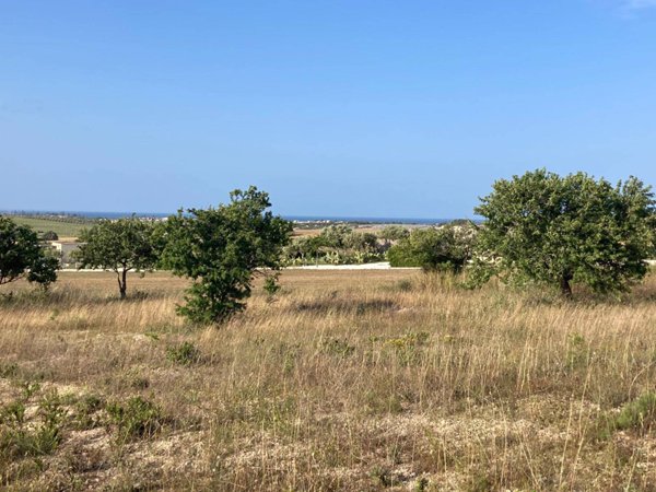 terreno agricolo in vendita a Budoni in zona San Lorenzo