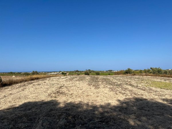 terreno agricolo in vendita a Budoni in zona San Lorenzo