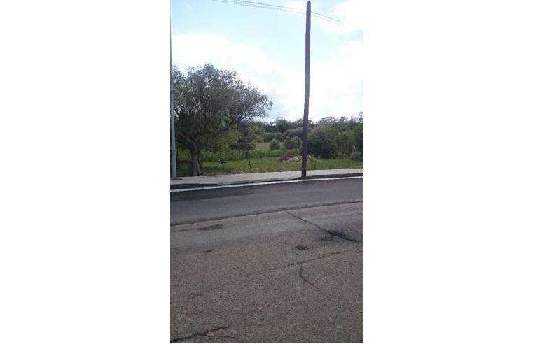 terreno agricolo in vendita a Budoni in zona San Gavino