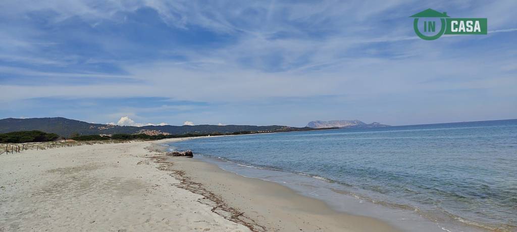 appartamento in vendita a Budoni in zona Baia Sant 'Anna