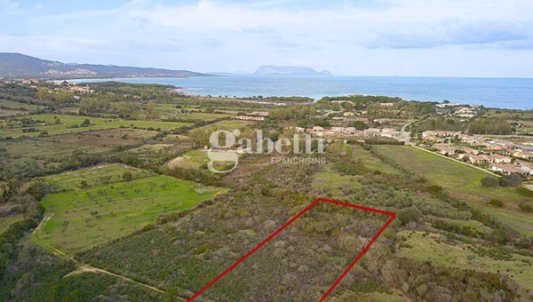 terreno agricolo in vendita a Budoni in zona Baia Sant 'Anna