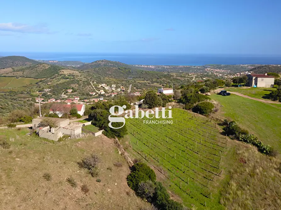 casa indipendente in vendita a Budoni in zona Tanaunella