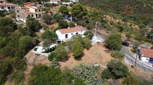 pentavano in vendita a Budoni in zona Budoni centro