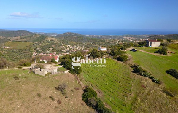terreno agricolo in vendita a Budoni in zona Tamarispa