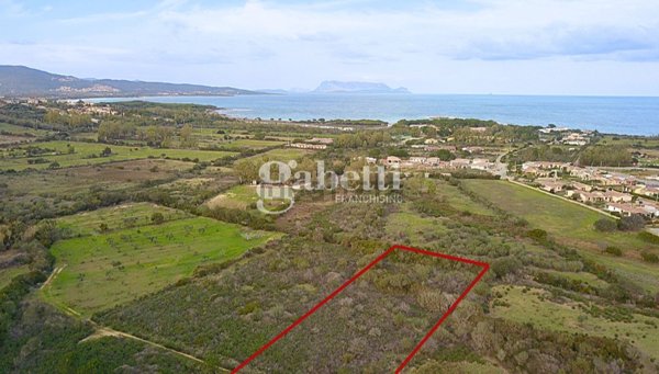 terreno agricolo in vendita a Budoni in zona Baia Sant 'Anna