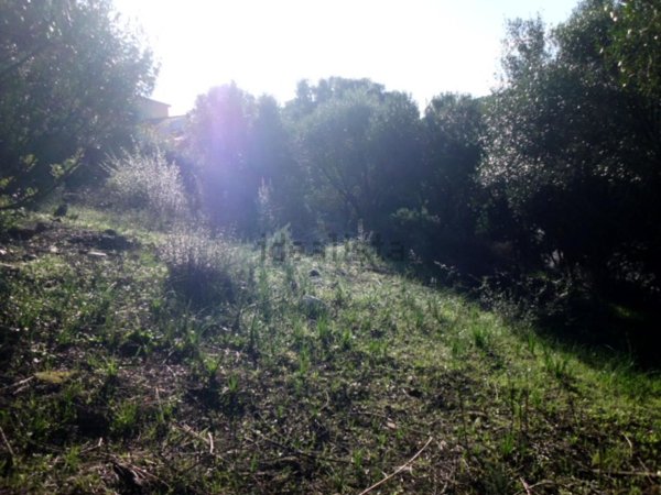 casa indipendente in vendita a Budoni in zona Berruiles