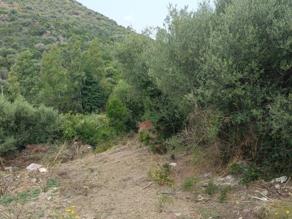 terreno agricolo in vendita a Budoni in zona Berruiles